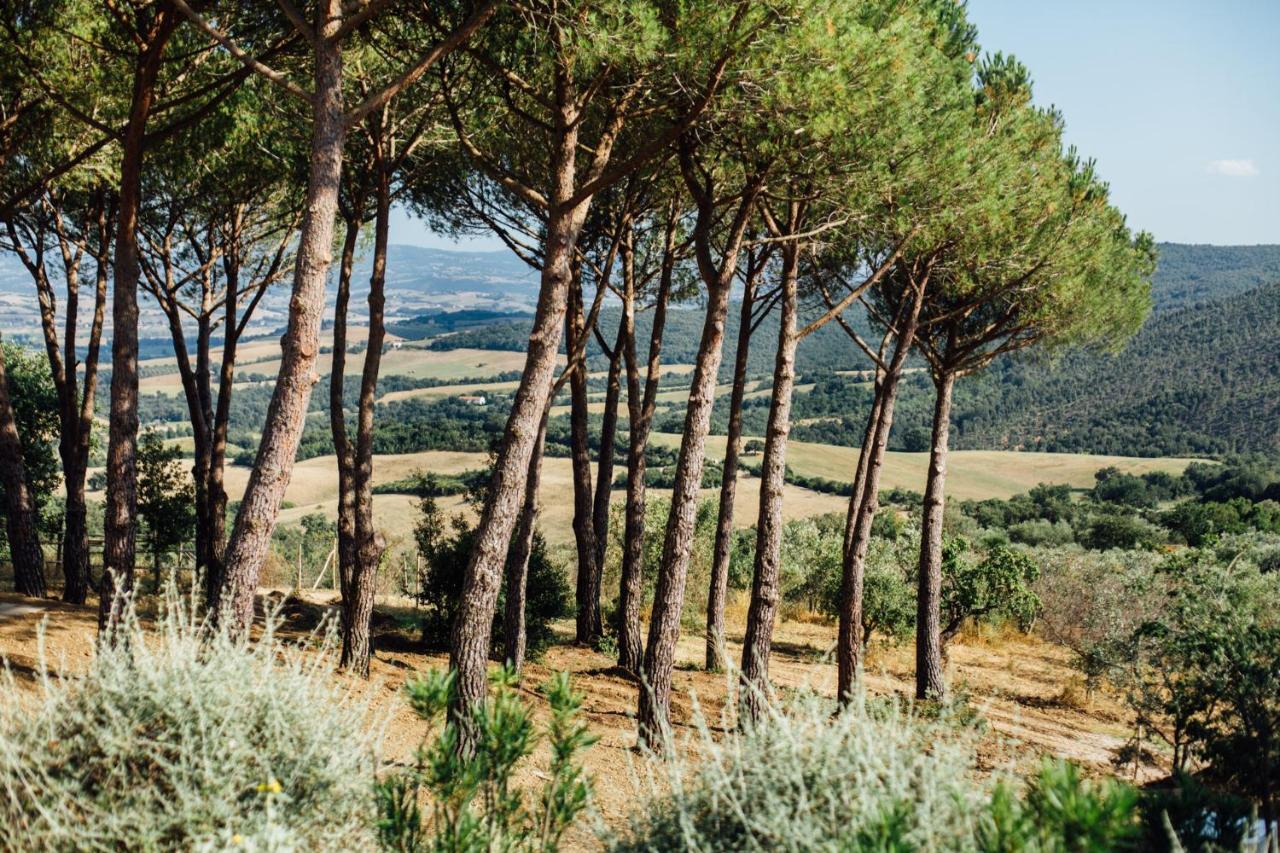 Villa Fontemarinaalta Montorsaio Esterno foto